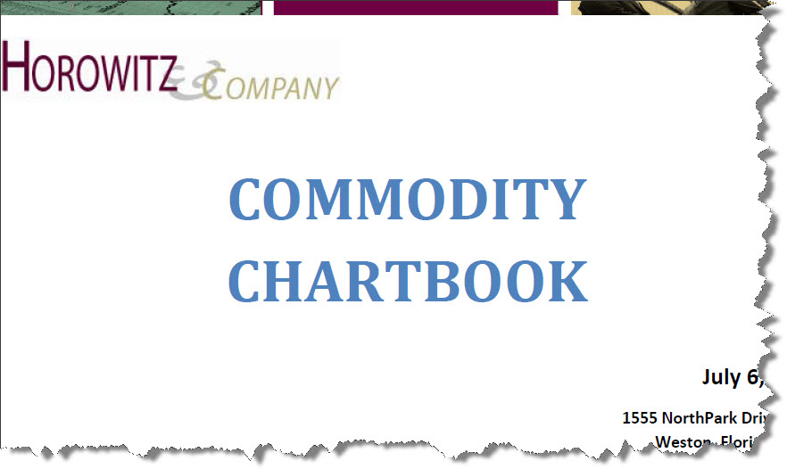 Commodity Chartbook July 2010