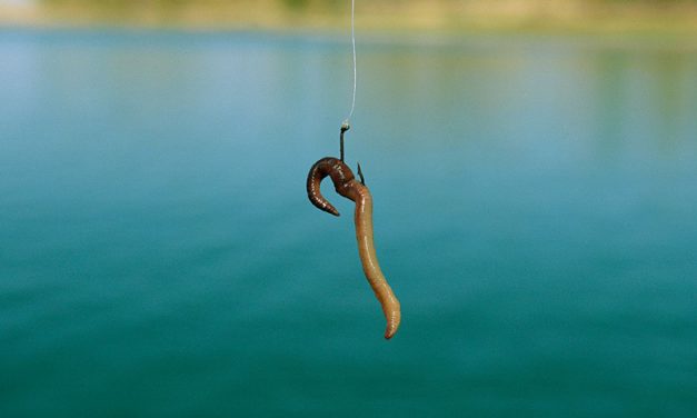 TDI Podcast: Bait The Hook (#726)