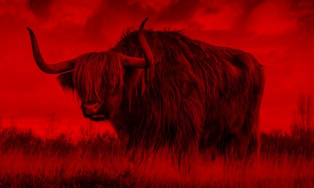 TDI Podcast: Black Holes and Woolly Bully (#734)