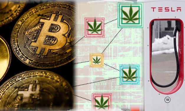 TDI Podcast: Weed, EVs and Crypto with Ross Gerber (#744)