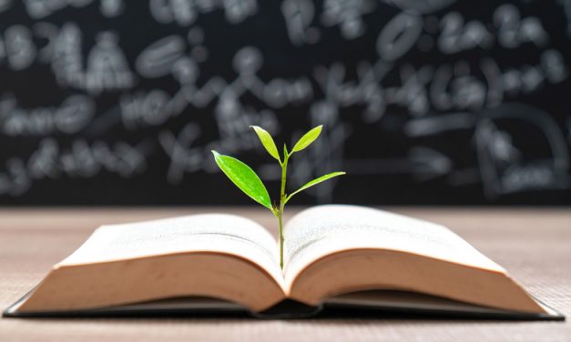 TDI Podcast: FinLit – Let’s Give Stuff Away (#762)